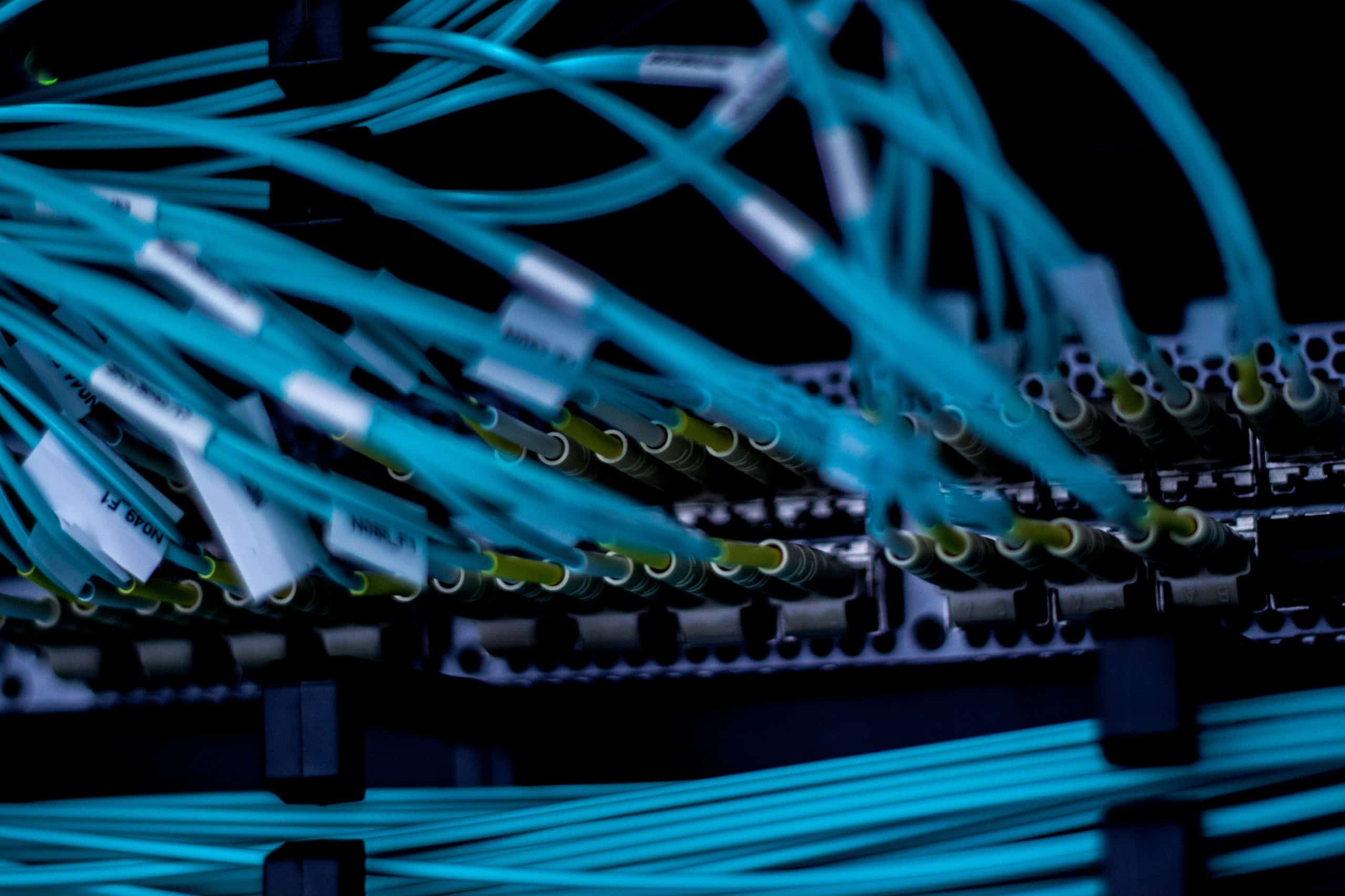 Zaplecze sieciowe, kable Ethernet w serwerowni.