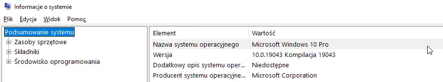 Ekran podsumowania systemu Windows 10 Pro.