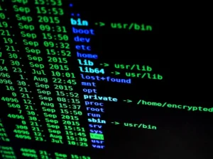 Ekran z kodem terminala systemu Linux.